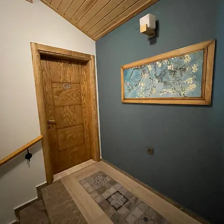 公寓式酒店 Veziroglu