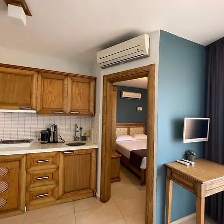 Veziroglu 4* 达特恰