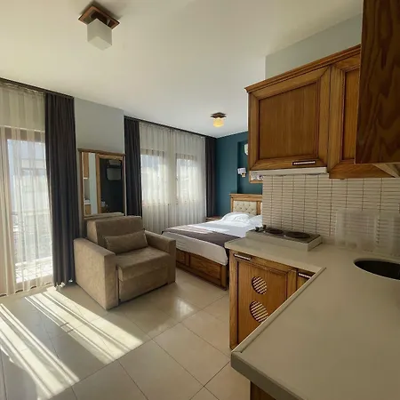 公寓式酒店 Veziroglu 4*