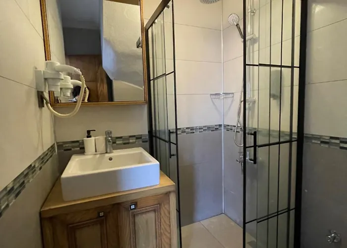 Veziroglu 4* דטקה