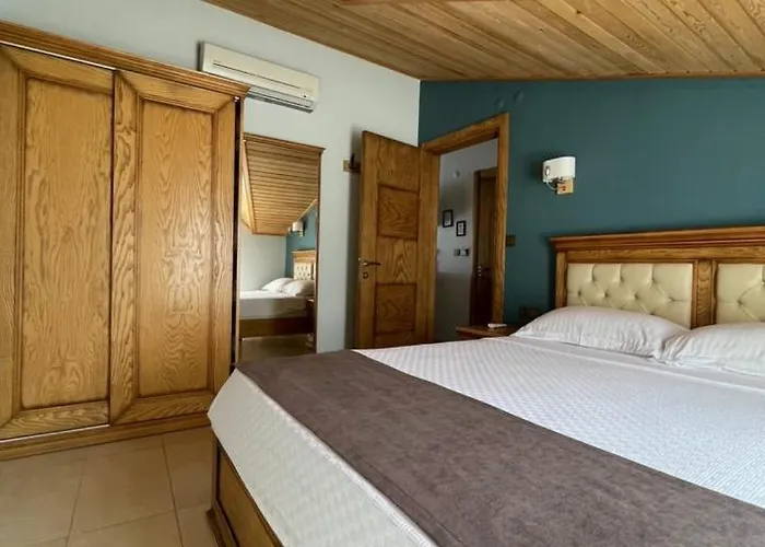 Veziroglu 4* דטקה