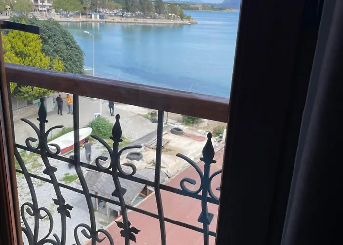 Veziroglu 4* דטקה