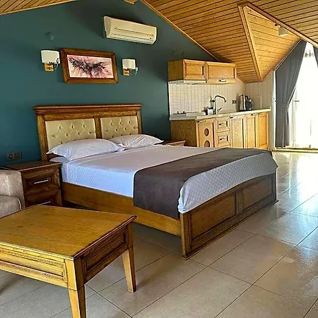 Veziroglu 4*